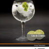 Imagen del titulo CATA DE GINEBRAS - INLCUYE CONTENIDO MULTIMEDIA