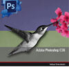 Imagen del titulo ADOBE PHOTOSHOP CS6- INCLUYE CONTENIDO MULTIMEDIA