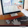 Imagen del titulo EXCEL 2013