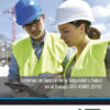Imagen del titulo SISTEMAS DE GESTIÓN DE LA SEGURIDAD Y SALUD EN EL TRABAJO (ISO 45001:2018)